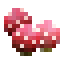 Haw icon