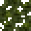 Hornbeam Leaves icon