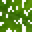 Jackfruit Leaves icon
