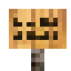 Jackfruit Sign icon