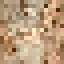 Juniper Log icon