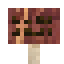 Juniper Sign icon