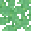 Kapok Leaves icon