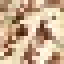 Kapok Log icon