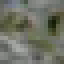 Key Lime Log icon