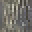 Kumquat Log icon