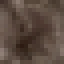 Lemon Wood icon
