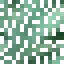 Loblolly Pine Leaves icon