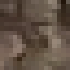 Loblolly Pine Log icon