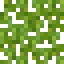 Logwood Leaves icon