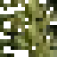 Monkey Puzzle Leaves icon