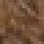 Nectarine Log icon