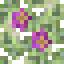 Night Fuchsia Leaves icon