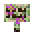 Night Fuchsia Sign icon