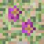 Night Fuchsia Trapdoor icon