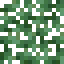 Nutmeg Leaves icon