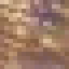 Orange Wood icon