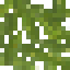 Padauk Leaves icon