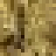 Padauk Wood icon