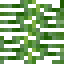 Pandanus Leaves icon