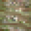 Pandanus Log icon