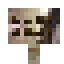 Pandanus Sign icon