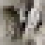 Pecan Wood icon