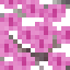 Pink Ipe Leaves icon