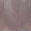 Pink Ipe Stripped Log icon