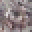 Pink Ipe Wood icon