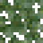 Pistachio Fruiting Leaves icon
