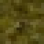 Pistachio Wood icon