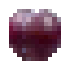 Plum icon
