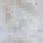Pomelo Stripped Log icon