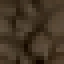 Red Delicious Apple Wood icon