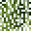 Rippling Willow Leaves icon
