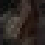 Rose Gum Log icon