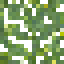 Rubber Tree Leaves icon