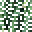 Sequoia Leaves icon