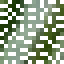 Silver Fir Leaves icon