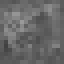 Silver Fir Log icon