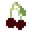 Sour Cherry icon