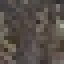 Star Anise Log icon