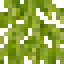 Star Fruit Leaves icon