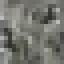 Sugar Maple Wood icon
