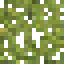 Sweet Chestnut Fruiting Leaves icon