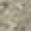 Sweet Crabapple Stripped Wood icon