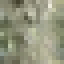 Sweetgum Log icon