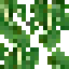 Sycamore Fig Leaves icon