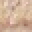 Tangerine Wood icon